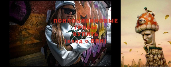 эйфоретик Пересвет